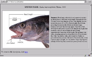 RFE Page 3 Taxonomy - Fish head image