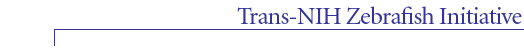 Trans-NIH Fly Initiative