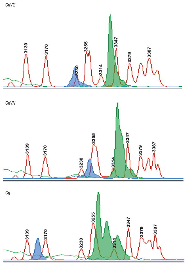 Figure 4.