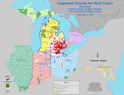 [image:] Shows emerald ash borer detections in Michigan, Ohio, Indiana, Illinois, and Maryland.  Click on map to view larger image.