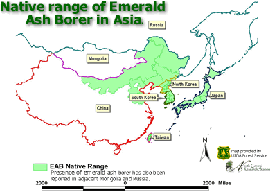 Map of native range of emerald ash borer in Asia.  Click to see larger version.  Source of data: Institute of Zoology, Chinese Academy of Science, 1986. 