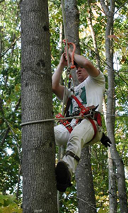 Jeff Carstens, Research Technician