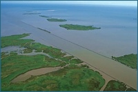 Aerial view of marsh islands in the Mississippi River Delta.