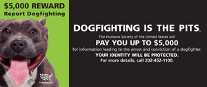 Animal Cruelty & Fighting Campaign