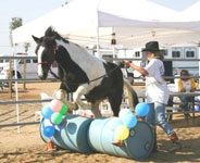 Nancy Kerson with Sparky 2 years after adoption