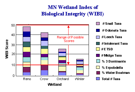 WIBI graph