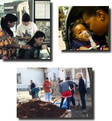 Clockwise from top left: monitoring mercury levels in hair, childhood asthma, creating a lead-safe yard  