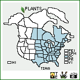 Distribution of Tilia americana L.. . Image Available. 
