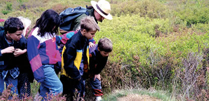 Students discover a unique habitat in Big Meadows during a ranger-guided education program.