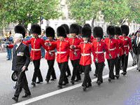 Irish Guards, wearing bearskins. By Adrian Pingstone, wikipedia.org