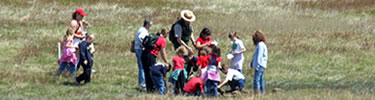 A group of students and a ranger conduct an activity in Big Meadows.