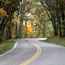 A tree tunnel over Skyline Drive