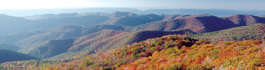 An endless sea of mountain layers with fall colors in the foreground.