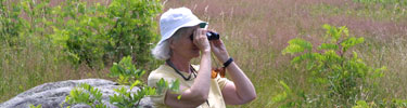 A visitor with binoculars searches the sky for birds in Big Meadows.