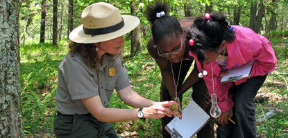 Students and a ranger take a close look at the forest floor.