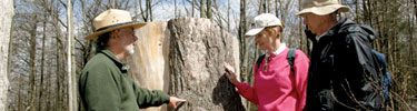 A ranger points to a hemlock stump and describes the ever-changing forest to visitors.