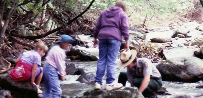 A ranger and students explore a stream in Shenandoah.