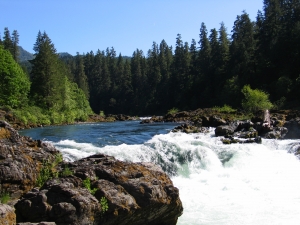 No. Umpqua W&SR