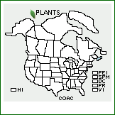 Distribution of Cornus ×acadiensis Fernald [alternifolia × sericea]. . 