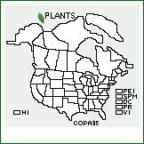 Distribution of Cornus paucinervis Hance. . 