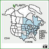 Distribution of Cornus racemosa Lam.. . Image Available. 