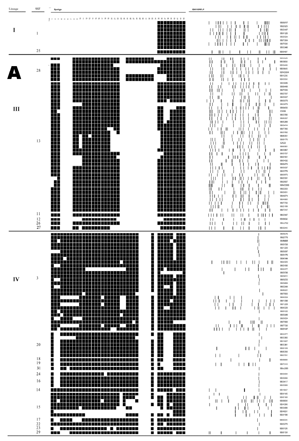 Figure 3A.