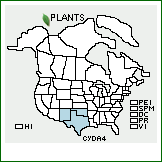 Distribution of Cylindropuntia davisii (Engelm. & Bigelow) F.M. Knuth. . 