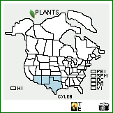 Distribution of Cylindropuntia leptocaulis (DC.) F.M. Knuth. . Image Available. 