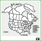 Distribution of Cylindropuntia prolifera (Engelm.) F.M. Knuth. . Image Available. 