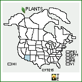 Distribution of Cylindropuntia ×tetracantha (Toumey) F.M. Knuth (pro sp.) [acanthocarpa × leptocaulis]. . 