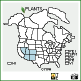 Distribution of Cylindropuntia whipplei (Engelm. & Bigelow) F.M. Knuth. . Image Available. 