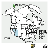 Distribution of Cylindropuntia acanthocarpa (Engelm. & Bigelow) F.M. Knuth var. acanthocarpa. . Image Available. 