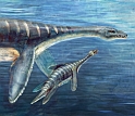 Illustration of a mother and juvenile plesiosaur