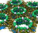 Illustration of new class of synthetic antimicrobials.