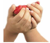 (Photograph of hands holding strawberries.)