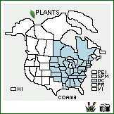 Distribution of Corylus americana Walter. . Image Available. 