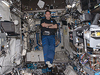 Expedition 17 Flight Engineer Greg Chamitoff