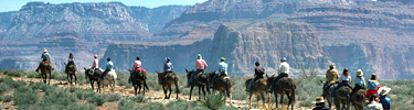 Mule trip on the way to Plateau Point (S. Rim)