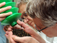 Photo of Walter Leal receiving a handful of Japanese beetles.