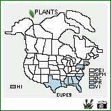 Distribution of Eustachys petraea (Sw.) Desv.. . Image Available. 