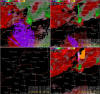 Storm Relative Motion image:  4:51 pm CDT