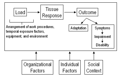 {Organizational Factors, Individual Factors, Social Context } -> { Load -> Tissue Response -> Outcome -> {Adaptation, {Symptoms -> Impairment -> Disability}}}