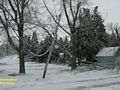 Power line damage in Harristown