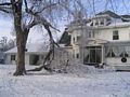 A tree in Mt Pulaski broke under the weight of the ice.