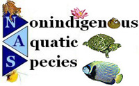 Logo of the Nonindigenous Aquatic Species site depicting invasive aquatic organisms including a frog, a turtle, a water lilly, a clam, and tropical fish.