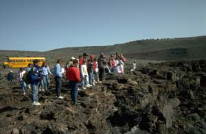 Diamond Craters