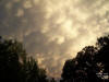 Mammatus clouds over Pekin, 9/19/2005.  Photo by Matthew Lewis.