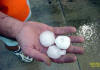 Large hailstones in Macon County, 7/13/2004.  Photo by Andrew Ziegler.