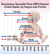 Chart: Respiratory Syncytial Virus (RSV) Season United States, by Region and Florida