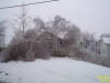 Ice storm damage in Peoria Heights, 2/1/2002.  Photo by Katrina Scrimsher.